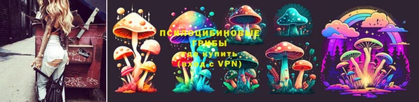 дживик Алзамай