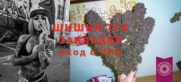 не бодяженный Алексин