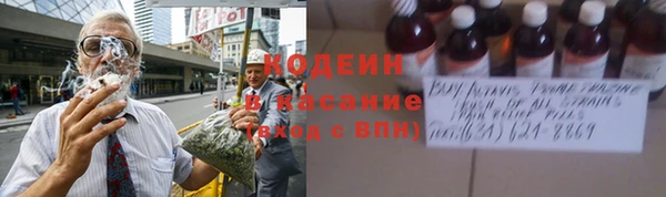 не бодяженный Алексин