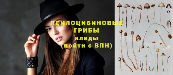 не бодяженный Алексин