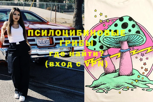 не бодяженный Алексин