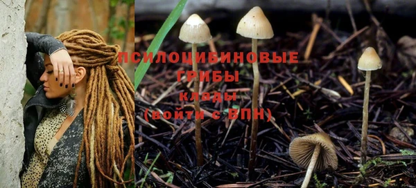 не бодяженный Алексин
