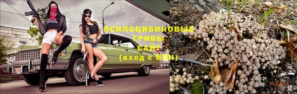 дживик Алзамай