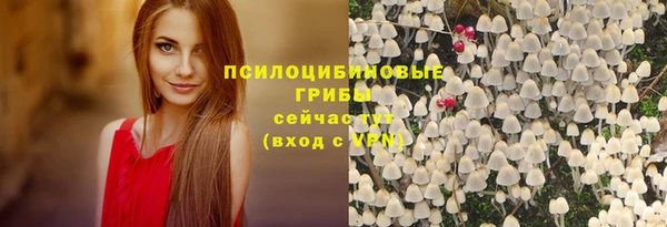 дживик Алзамай