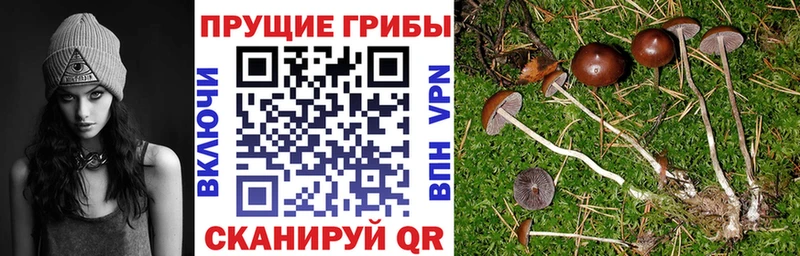 даркнет сайт  Нижний Ломов  Псилоцибиновые грибы мицелий 