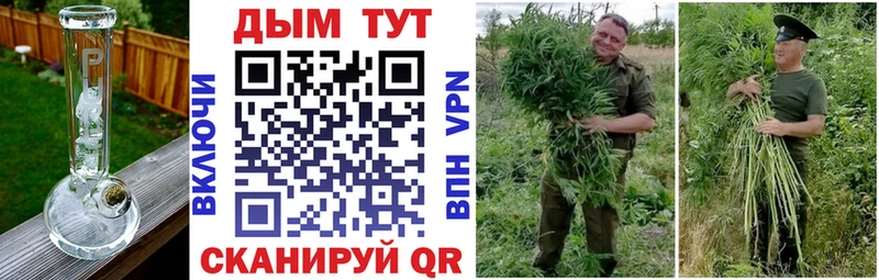 хочу   Нижний Ломов  Каннабис семена 